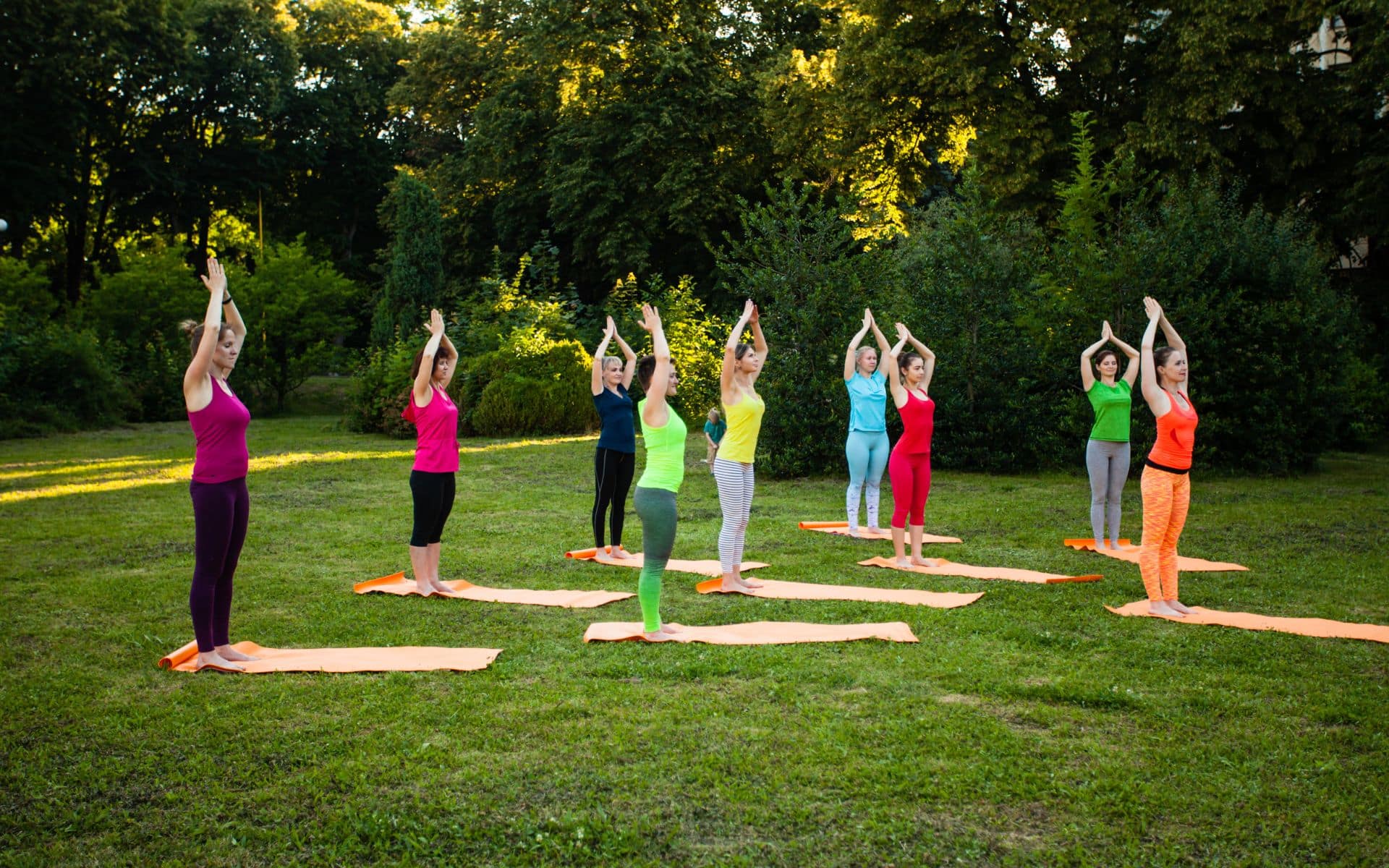 Telluride Yoga Festival