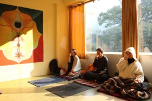 gallery pic 3